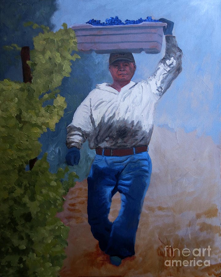 tenants-vineyard tenants-vineyard