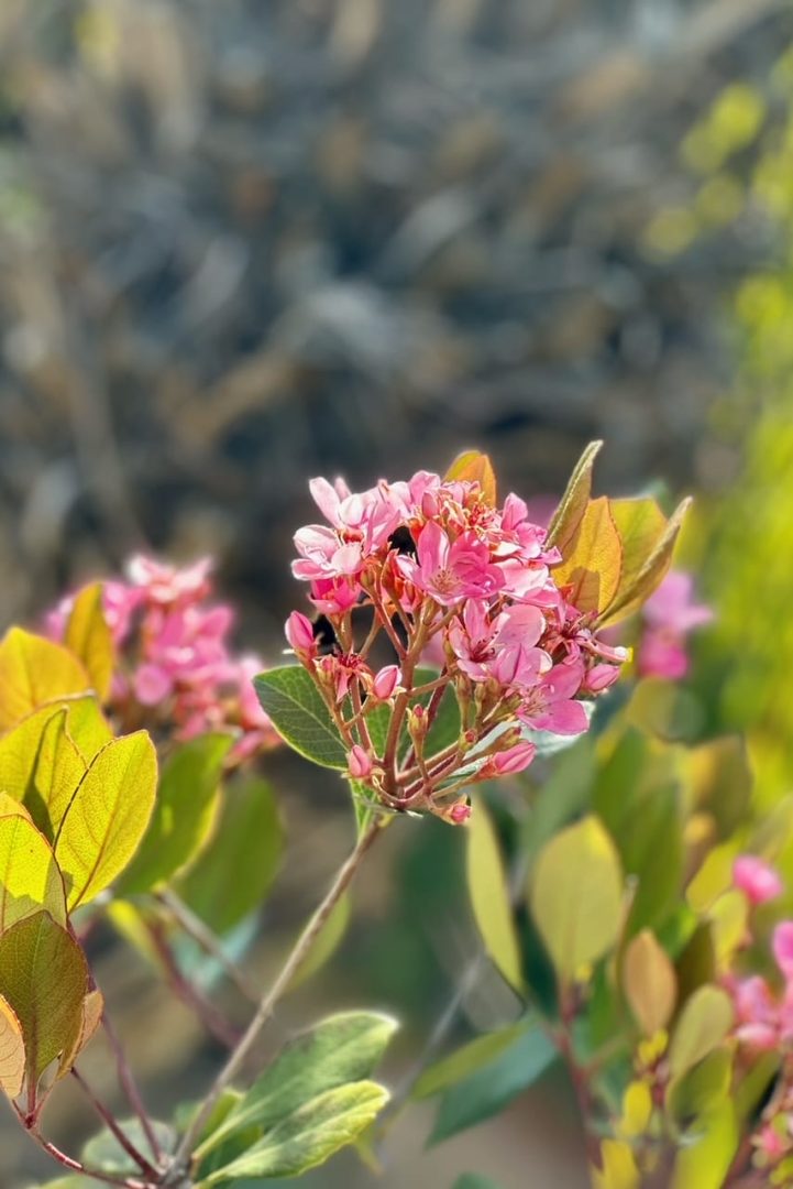 image0123456
