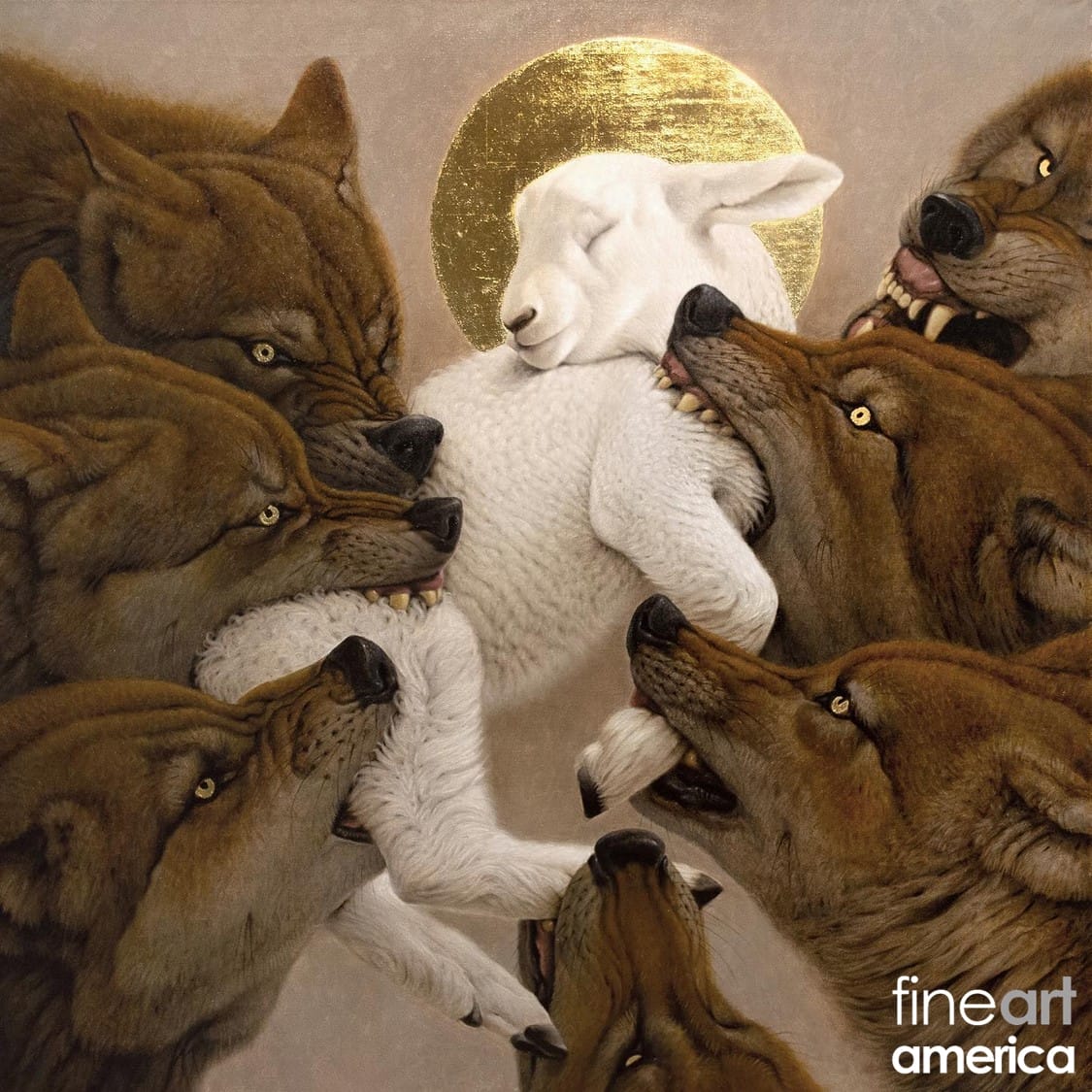 sheep-and-wolves