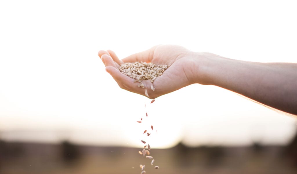godsseed1