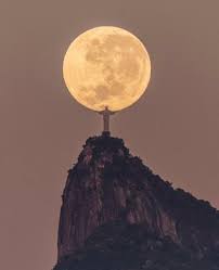 images12345678