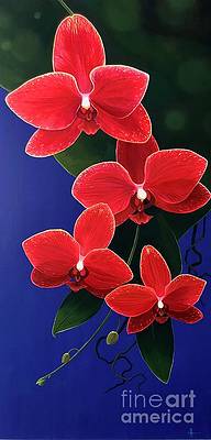 valley-orchid
