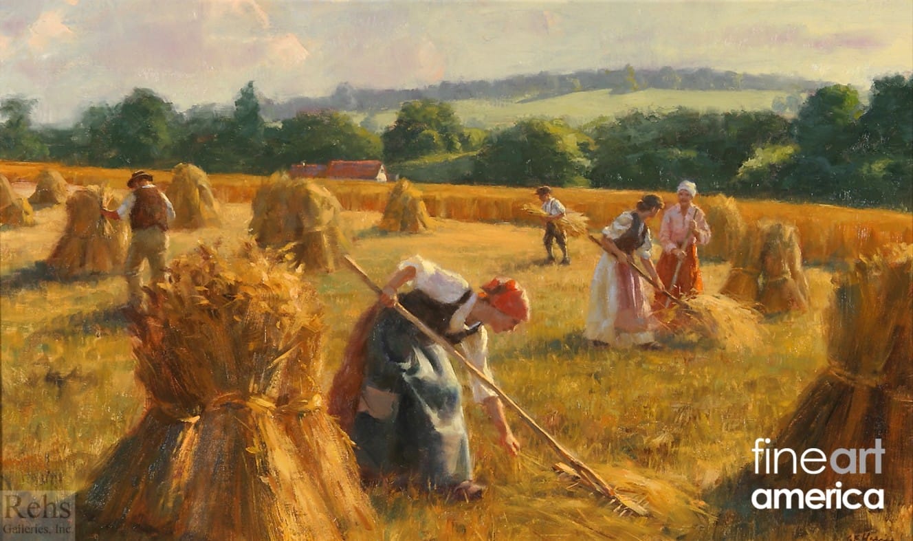 getting-the-whole-field