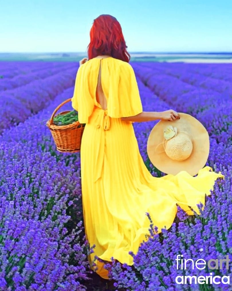 land-of-living
