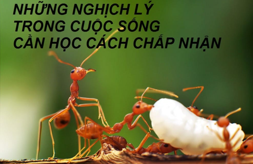 hhhh1