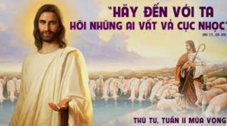 z49683745276871b210191e17f9fedd726eaab5ffd6b61