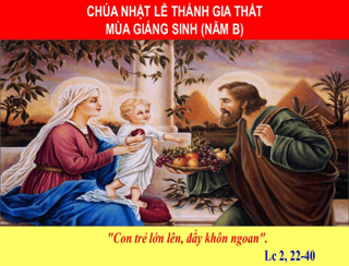 image-312345