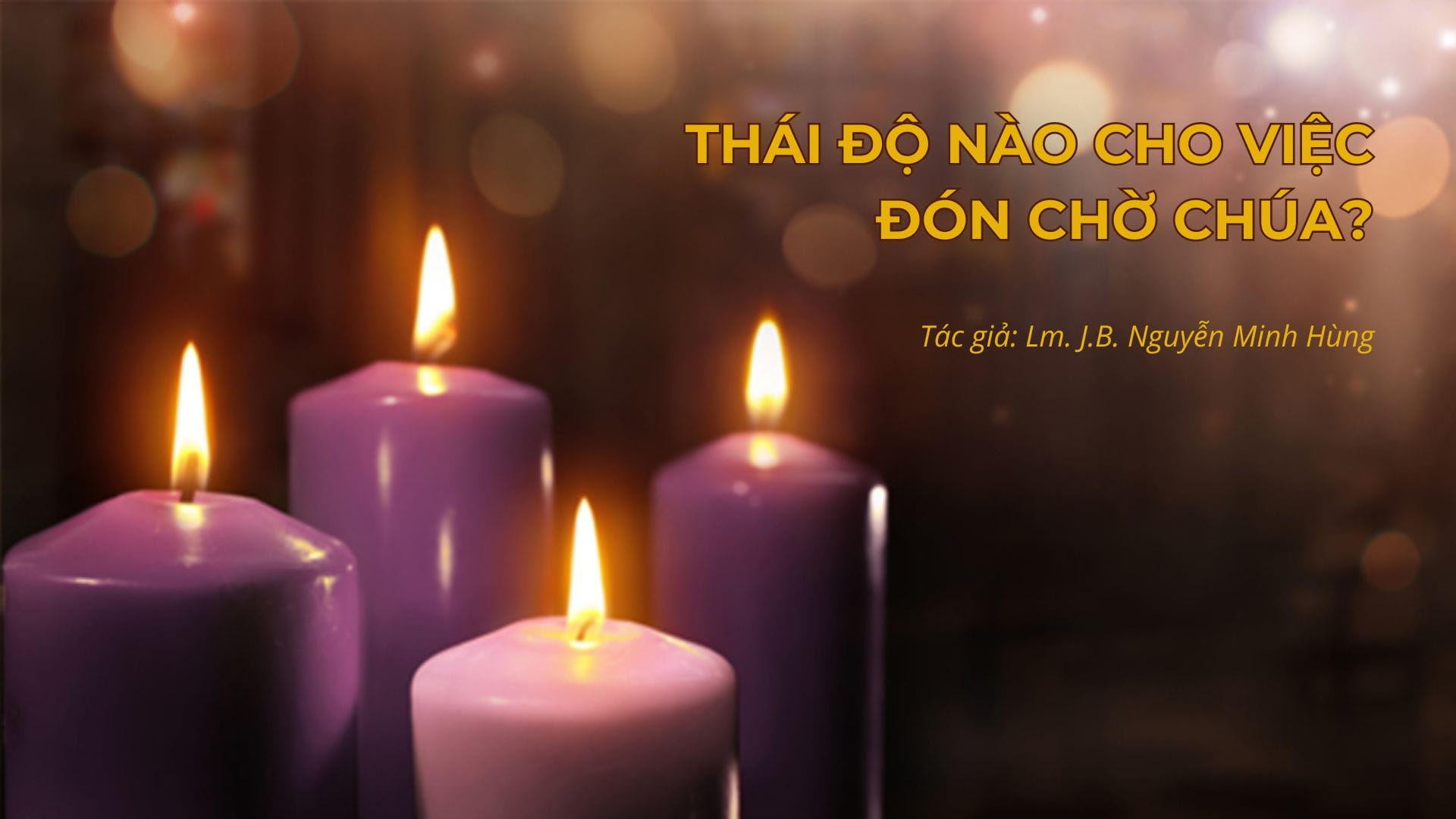 thaidonaochoviecdonchochua