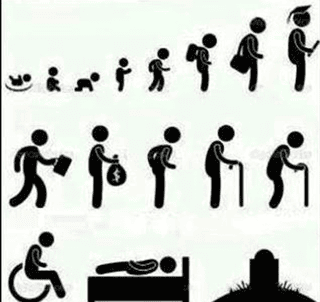 image-11123