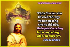 image-28