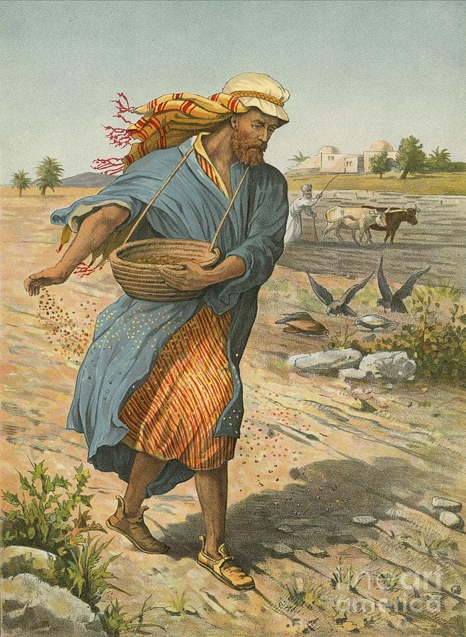 sowing