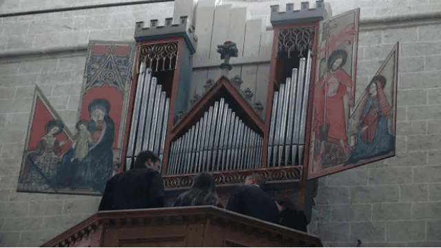 organ1