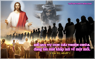image-1412