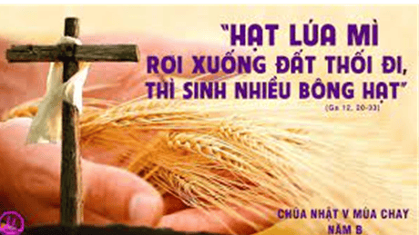 image-37