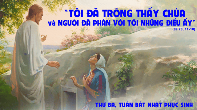 image-281