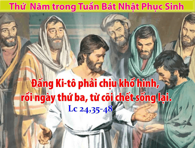 image-3112