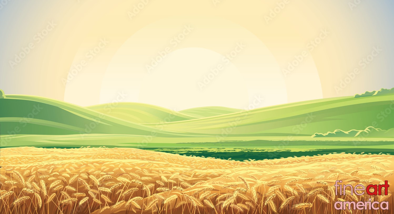 wheat-field