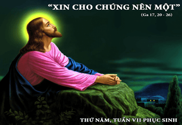 image-241234