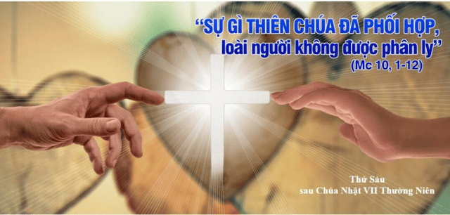 image-3212