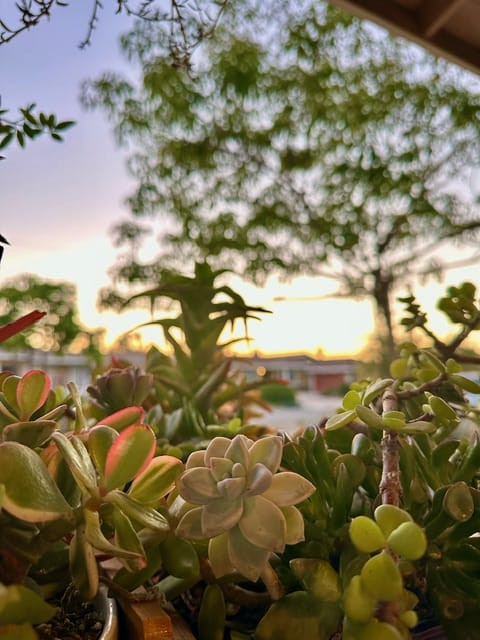 image0-121