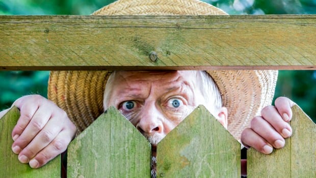 shutterstock1295156944 shutterstock1295156944
