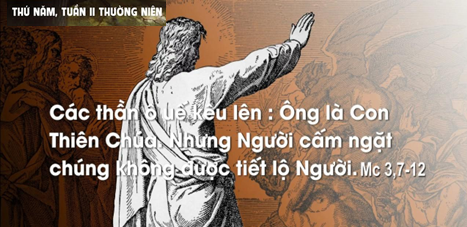 image-4312