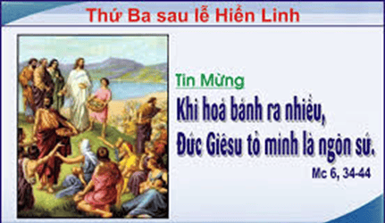 image-2112345678
