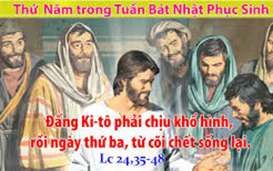 image-791