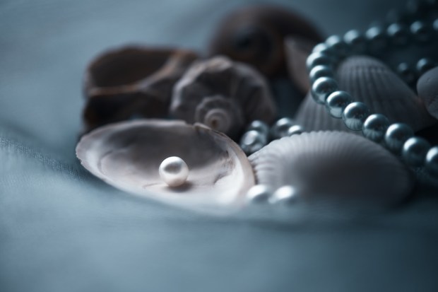 pearlsshells