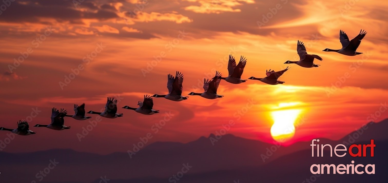 v-goose