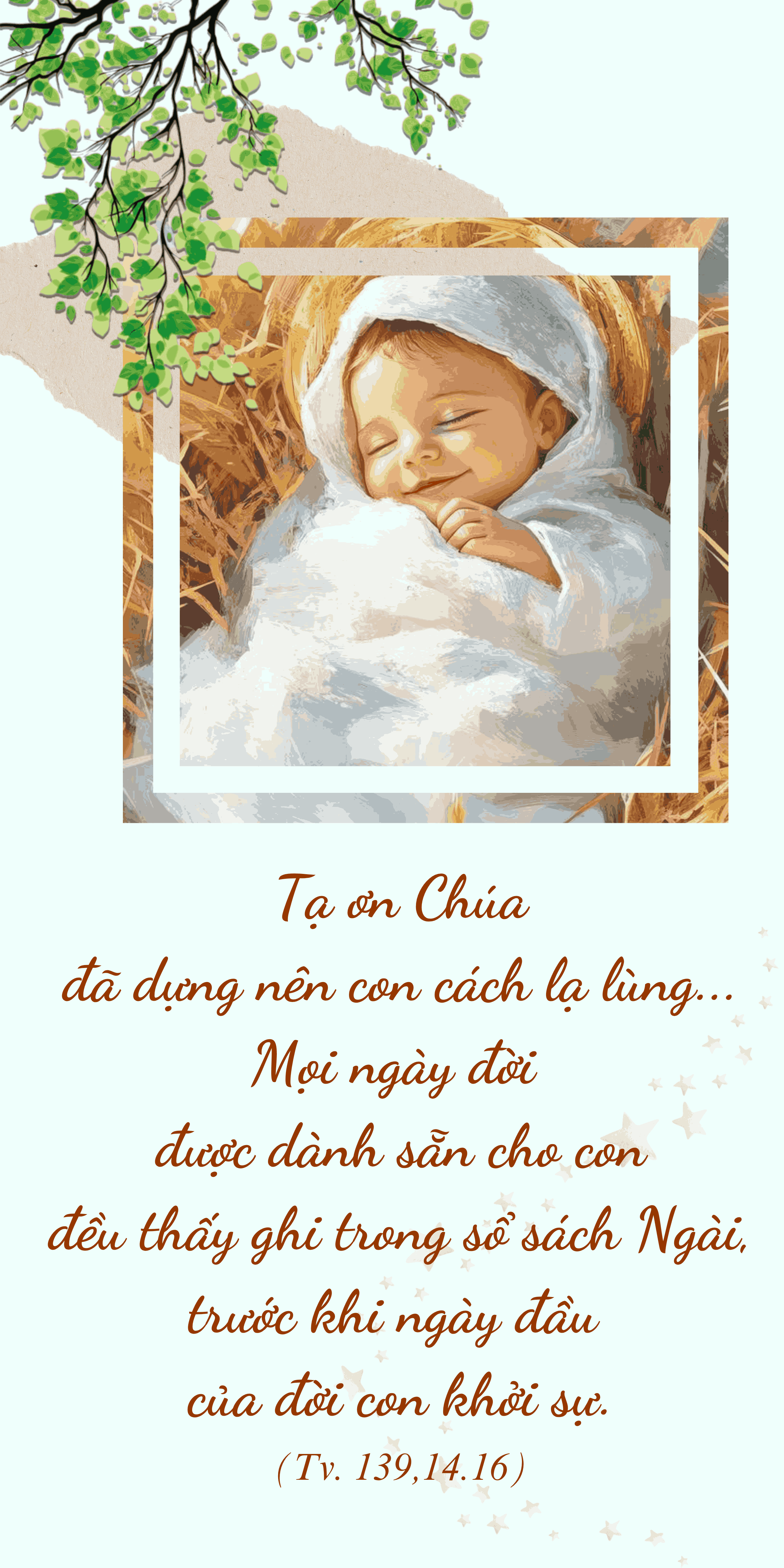 anh-1-1111zon12345