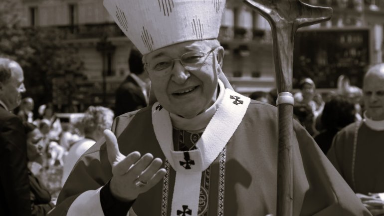 cardinalandrevingttrois3cyannickboschat