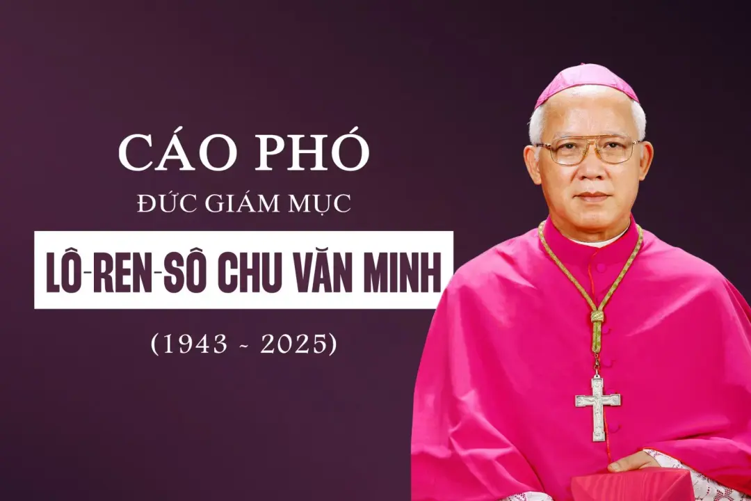 cpdcminh1