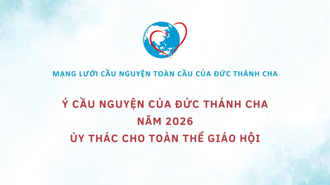 ycn261