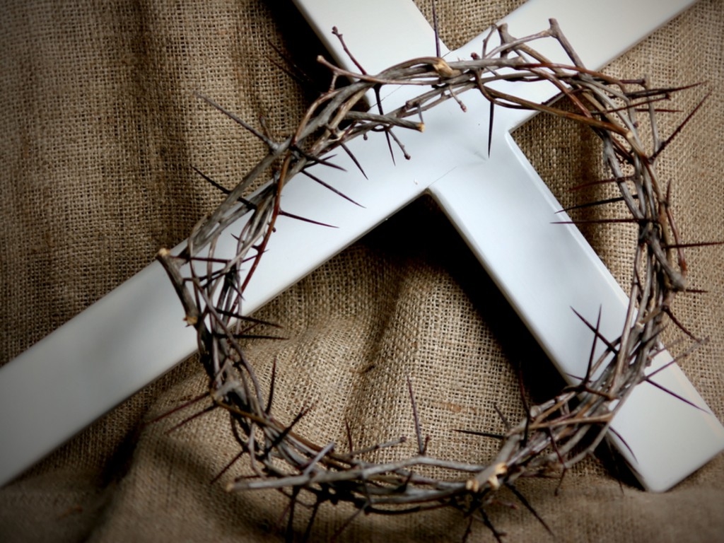 crownofthorns