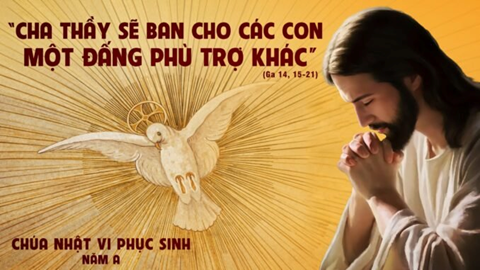 image-1001