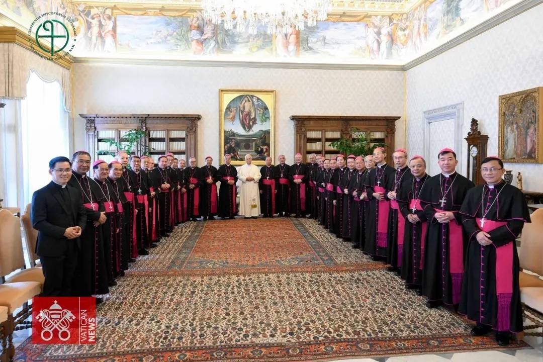 adlimina5
